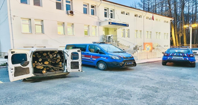 Alanya'da odun hırsızlığı şüphelileri yakalandı