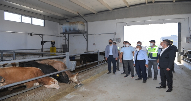 Beydeğirmeni Besi Bölgesi Projesi'nde ön talepler TOKİ'ye iletildi