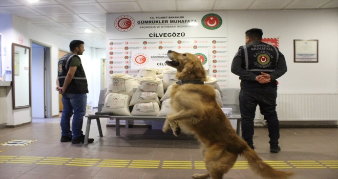 Cilvegözü'nde, 2 milyon 422 bin adet uyuşturucu hap ele geçirildi