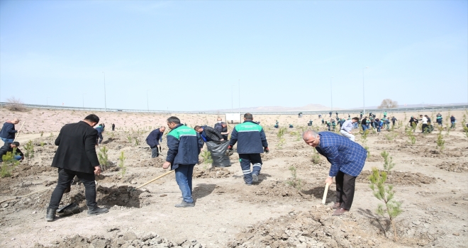 Kayseri Büyükşehir Belediyesi fidan dikimine başladı 