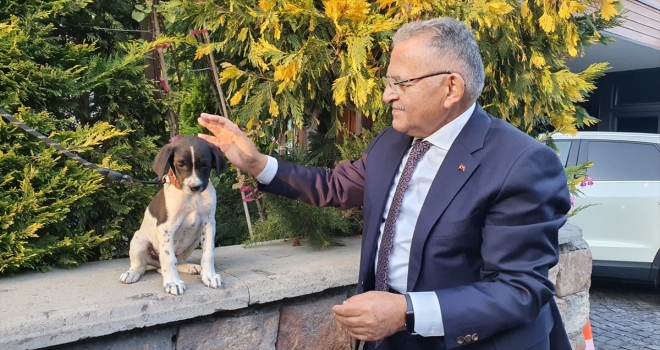 Kayseri'de belediye barınağındaki 826 köpek ile 783 kedi sahiplendirildi