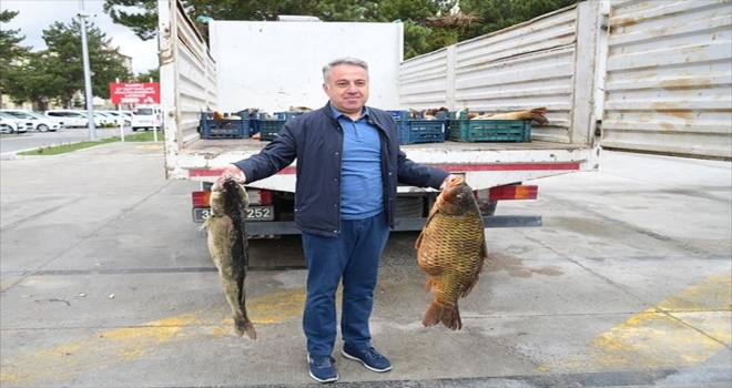 Kayseri'de kaçak avlandığı belirtilen 2,5 ton balık yakalandı
