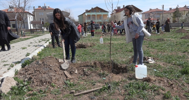 Şarkışla'da 