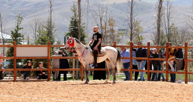 Sivas'ta atlı cirit heyecanı yaşandı