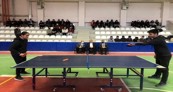 Ulaş'ta satranç ve masa tenisi turnuvası düzenlendi