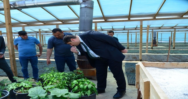 Ankara'da 