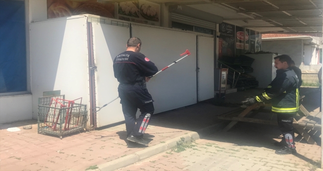 Antalya'da marketin deposuna giren yılanı bir vatandaş yakaladı