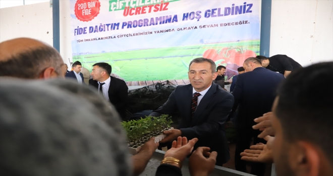 Bala Belediyesi 150 bin sebze fidesi dağıttı