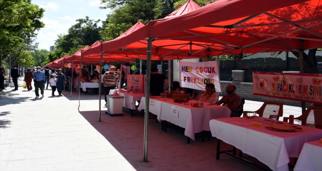 Kırıkkale'de öğretmenler öğrenciler için hazırladıkları projeleriyle yarıştı