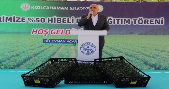 Kızılcahamam'da 457 bin sebze fidesi dağıtıldı