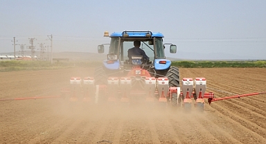 Kuru fasulyenin üretim merkezi Niğde'de ekim çalışmaları devam ediyor