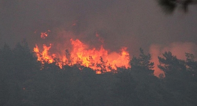 20 helikopter, 14 uçak Muğla'daki orman yangınında