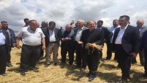 AK Parti Kırıkkale Milletvekili Can, doludan zarar gören alanlarda incelemelerde bulundu