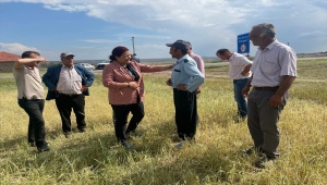 AK Parti Kırşehir İl Başkanı Ünsal, doludan olumsuz etkilenen köyleri ziyaret etti