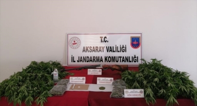 Aksaray'da müstakil evin bahçesinde kenevir yetiştiren 4 şüpheli yakalandı