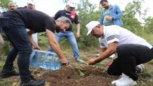 Ankara Adliyesi çalışanları yüzlerce fidanı toprakla buluşturdu 
