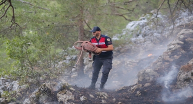 Antalya'da çıkan orman yangını kontrol altına alındı 