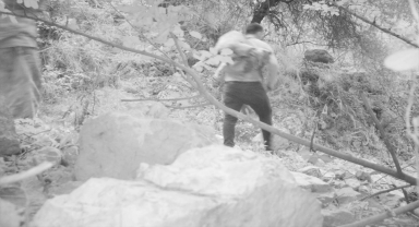 Antalya'da görüntüleri fotokapana yansıyan 2 kaçak avcıya 151 bin lira ceza