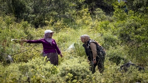 Antalya'nın yeşili 