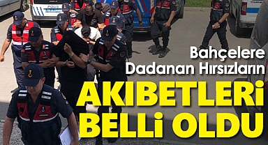 Bahçelere Dadanan Hırsızların Akıbeti Belli Oldu