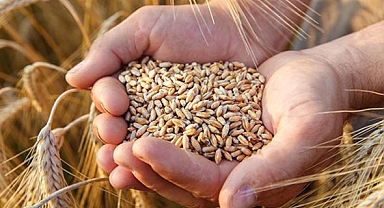 Bakan duyurdu: Türkiye'den tahıl krizi için 'kırmızı hat' adımı!