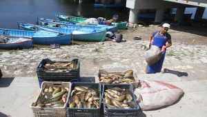 Beyşehir Gölü'nde yeni balık avı sezonu umutlu başladı