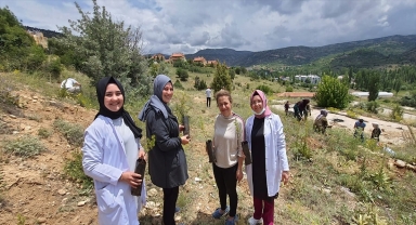 Bozkır'da ağaç dikme etkinliği