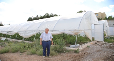 Çubuk Mesleki ve Teknik Anadolu Lisesinde üretilen sebzeler sofralara ulaşıyor