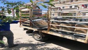 Çubuk'ta forklift tüpü çaldıkları iddiasıyla yakalanan 2 şüpheliden 1'i tutuklandı 