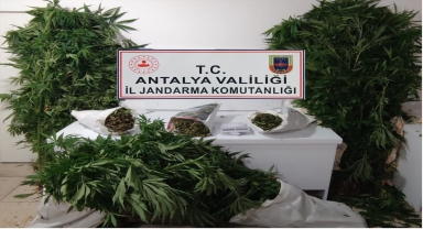 Elmalı'da uyuşturucu operasyonunda bir şüpheli yakalandı