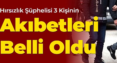 Evden hırsızlık yapan 2 şüpheli tutuklandı