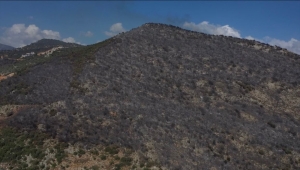 GÜNCELLEME 4 - Antalya'da makilik alanda çıkan yangın kontrol altına alındı