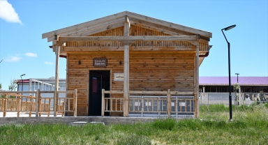 Kangal köpeği merkezinde damızlık ve yavru hedefine ulaşıldı