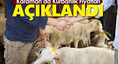 Karaman Kurbanlık fiyatları açıklandı! Bu yıl fiyatlar nasıl?