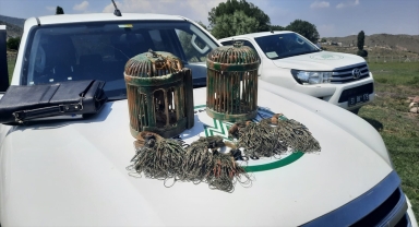 Kayseri'de kaçak keklik avlayan kişiye 7 bin 500 lira ceza kesildi