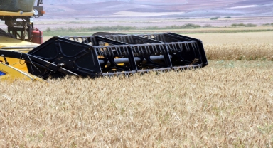 Kırıkkale'de arpada 290 bin ton, buğdayda 350 bin ton rekolte bekleniyor