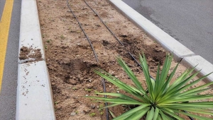 Kırıkkale'de caddelerdeki çiçeklere zarar veren kişi yakalandı