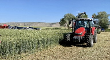 Kırşehir'de kaba yem üretimi üniversite tarafından yaygınlaştırılıyor 