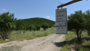 Kurulmasında öncü olduğu ormanı yangınlara karşı gönüllü koruyor
