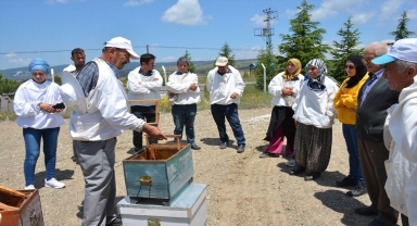 Mihalıççık'ta düzenlenen arıcılık kursu tamamlandı 