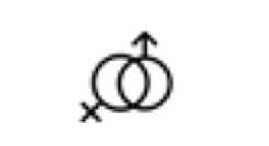 Psikoloji.com Danışmanlık Şirketi