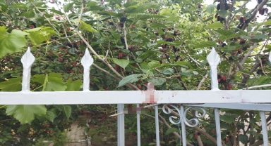 Sivas'ta bir çocuk eline saplanan demirle hastaneye kaldırıldı