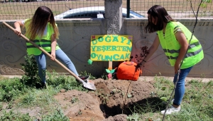 Sivas'ta lise öğrencileri yaptıkları oyuncakların geliriyle meyve fidanı dikti