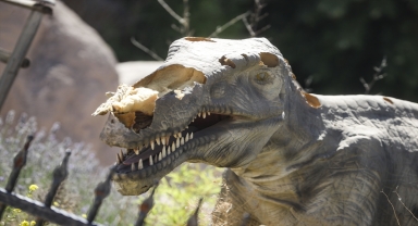 ABB Meclisi AK Parti Grup Başkanvekili Köse, bazı meclis üyeleriyle ANKAPARK'ı gezdi: