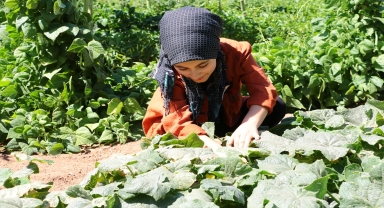 Aksaray'da doğuştan görme engelli Meryemana'nın 