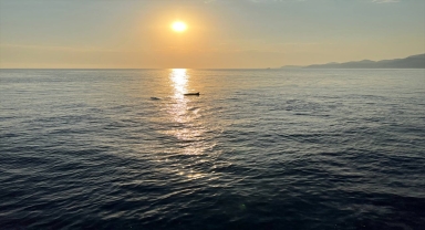 Alanya'da yunuslar turistlere gösteri yaptı