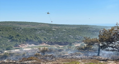 Alanya'da zirai ve ormanlık alanda çıkan yangın söndürüldü
