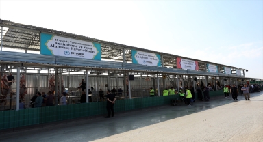 Ankara'da pazar yerleri ile kesimhanelerde kurban yoğunluğu