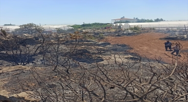 Antalya'da makilik alanda çıkan yangın seralarda hasara neden oldu