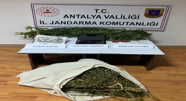 Antalya'da serada uyuşturucu yetiştirdiği iddiasıyla 1 kişi gözaltına alındı